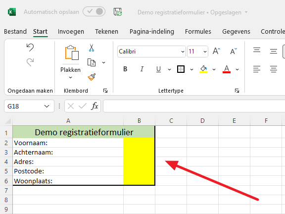 Een bestaand Excel bestand automatisch laten vullen door Forms en